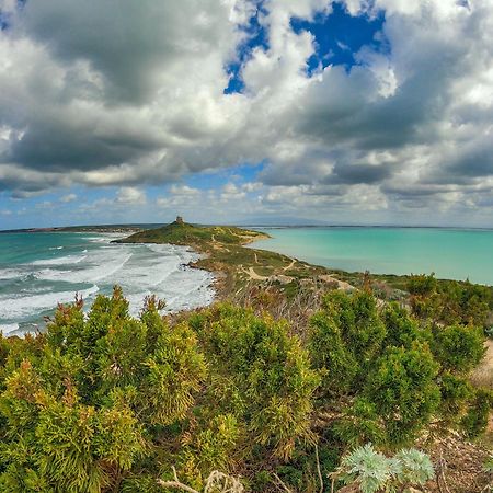 Tesori Del Sinis Villa Cabras Bagian luar foto