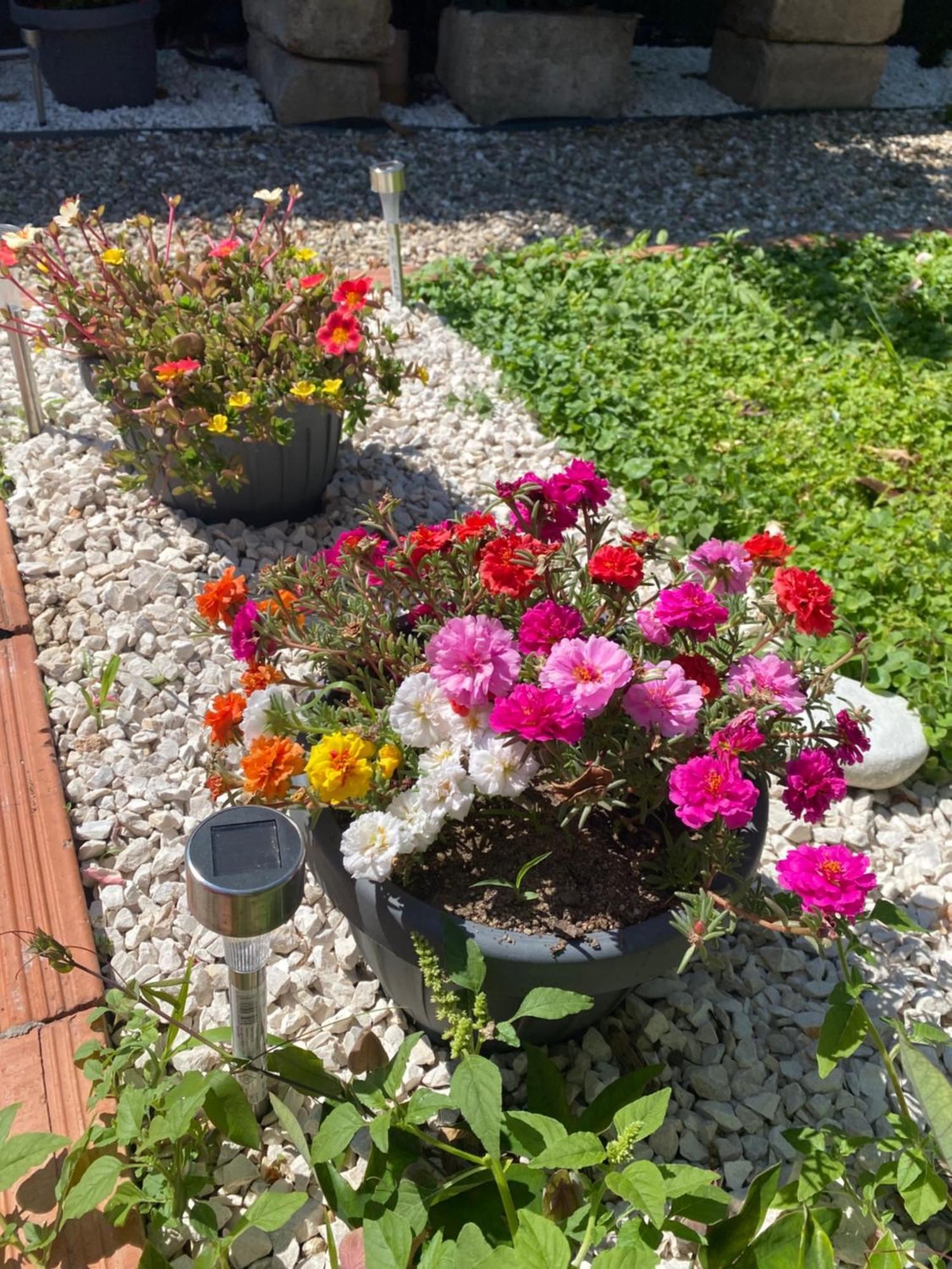 Tesori Del Sinis Villa Cabras Bagian luar foto