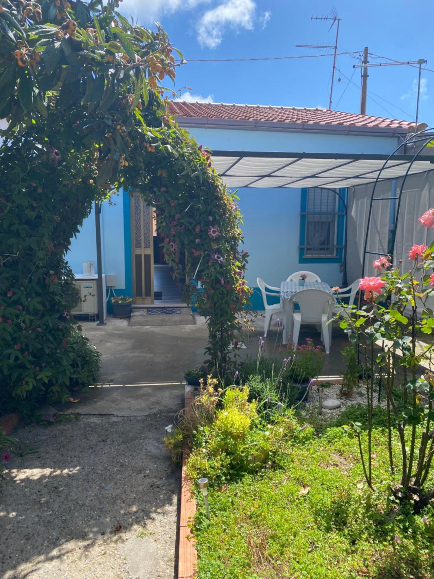 Tesori Del Sinis Villa Cabras Bagian luar foto