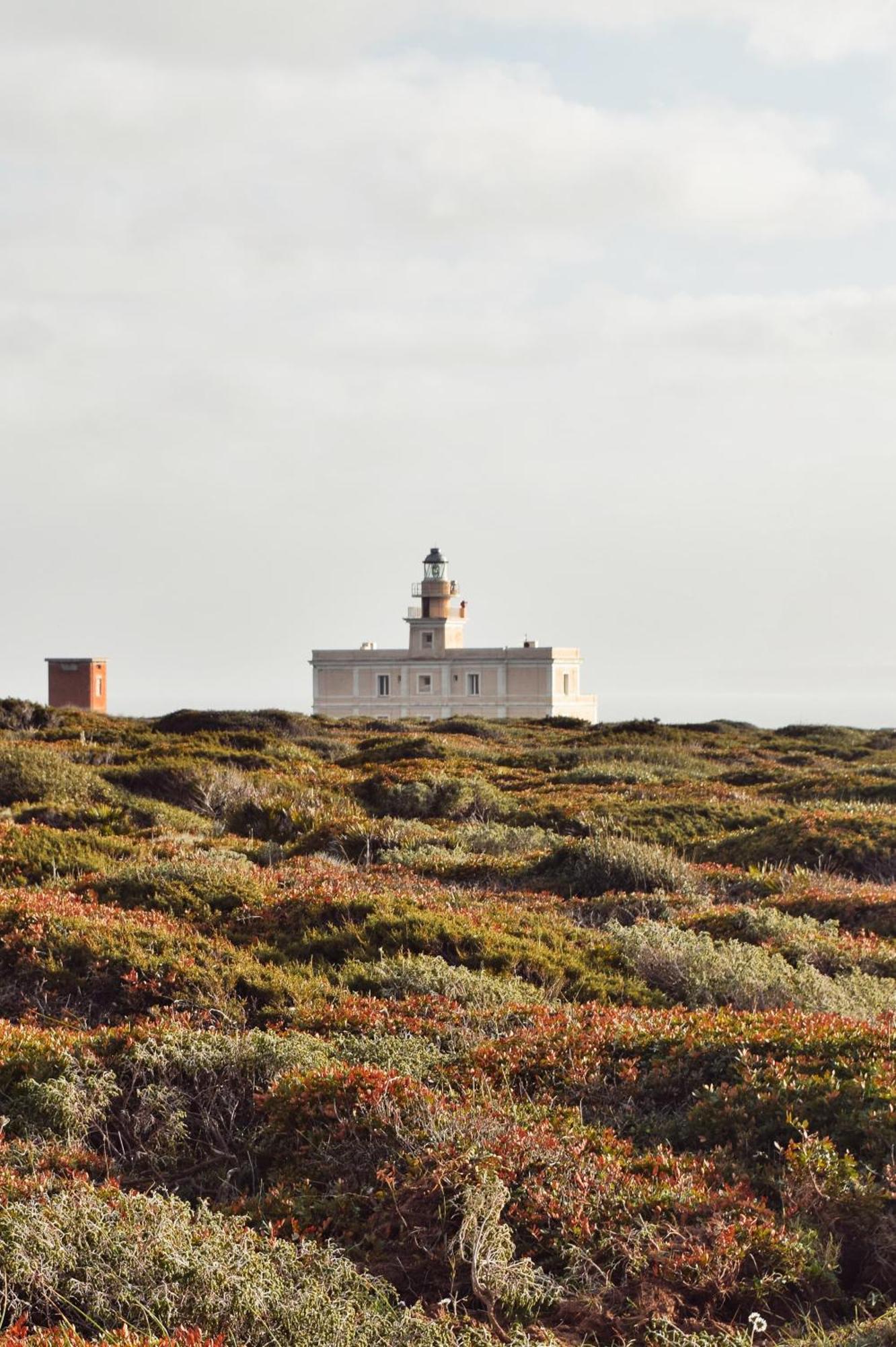 Tesori Del Sinis Villa Cabras Bagian luar foto